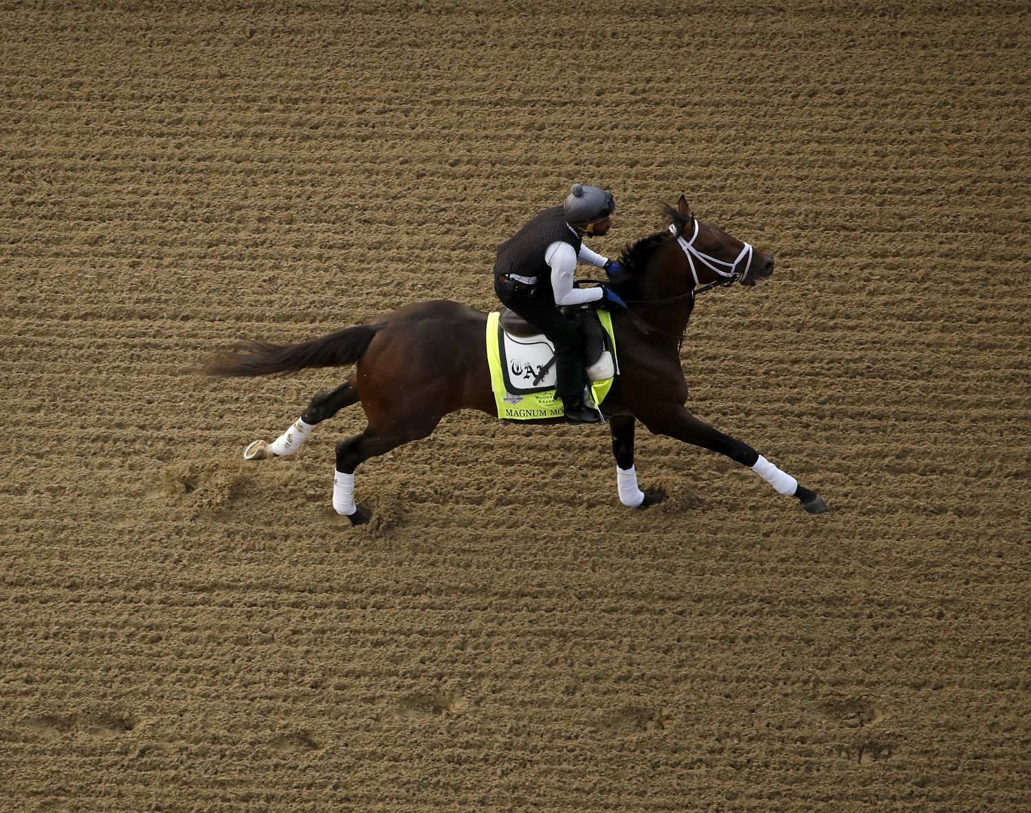 Kentucky Derby entrant Magnum Moon runs during a morning workout at Churchill Downs Wednesday, May 2, 2018, in Louisville, Ky. The 144th running of the Kentucky Derby is scheduled for Saturday, May 5. (AP Photo/Charlie Riedel)