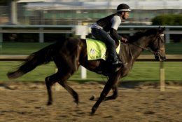 Kentucky Derby hopeful My Boy Jack runs during a morning workout at Churchill Downs Tuesday, May 1, 2018, in Louisville, Ky. The 144th running of the Kentucky Derby is scheduled for Saturday, May 5. (AP Photo/Charlie Riedel)