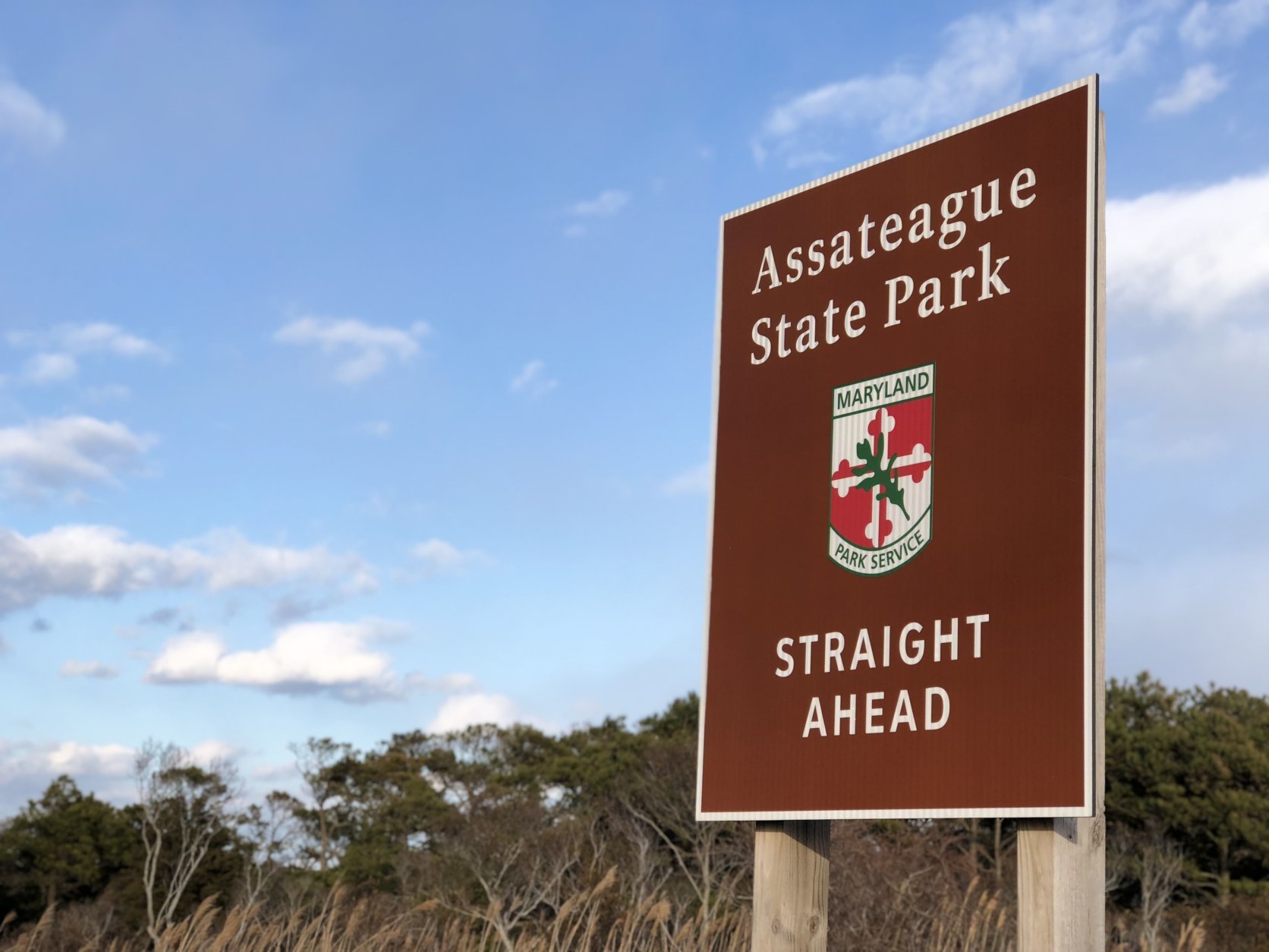 A Facebook post from the Assateague Island National Seashore that says the 2-year-old stallion known as Adriana's Yankee Prince was hit by a motorist on the Route 611 causeway Monday night. (WTOP/Kate Ryan)