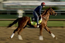 Kentucky Derby hopeful Promises Fulfilled runs during a morning workout at Churchill Downs Tuesday, May 1, 2018, in Louisville, Ky. The 144th running of the Kentucky Derby is scheduled for Saturday, May 5. (AP Photo/Charlie Riedel)