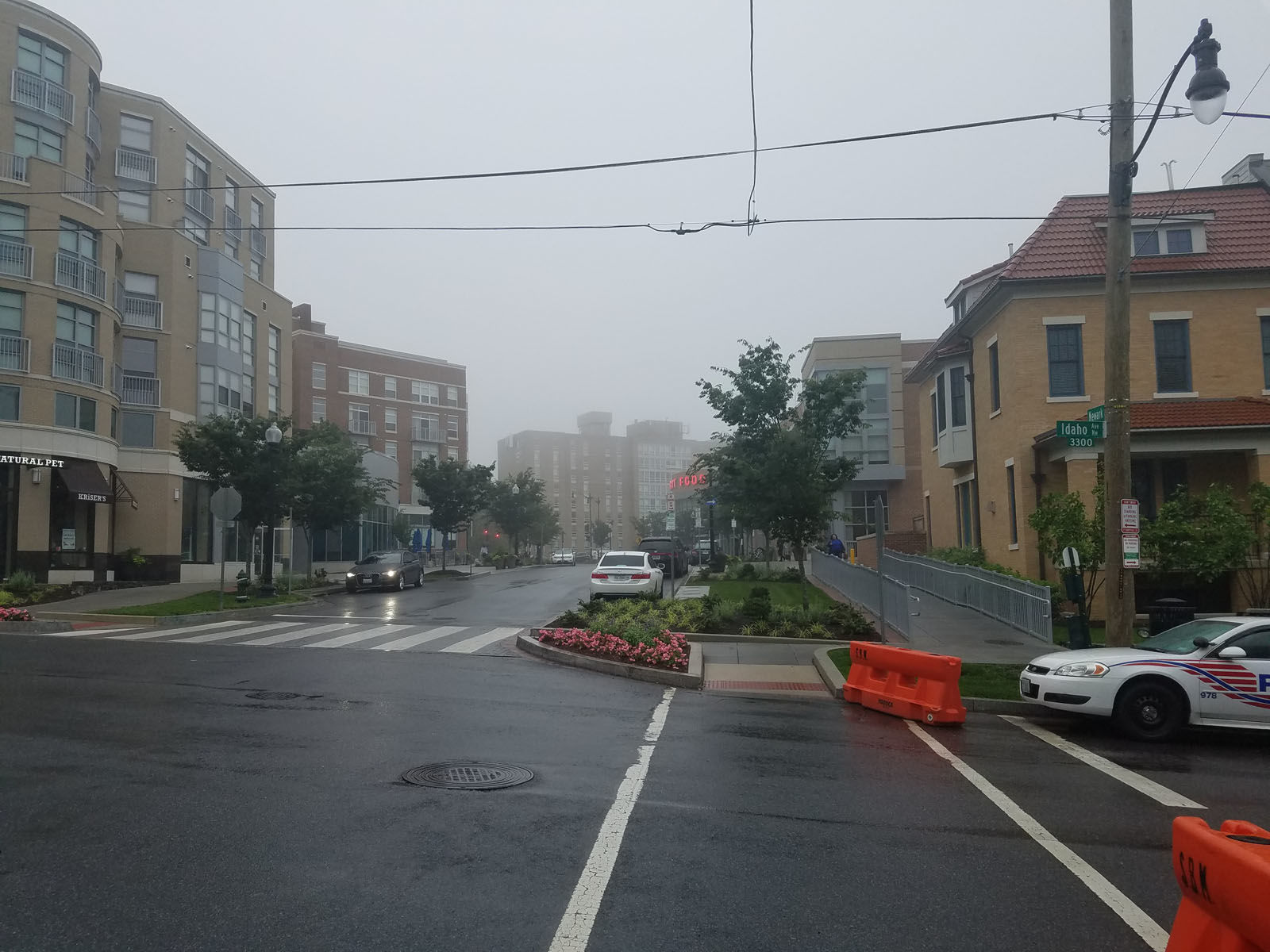 Rain soaked streets on Thursday morning in Northwest D.C., a flash flood watch will be in effect for most of the D.C. area starting at 2 p.m. (WTOP/Will Vitka)