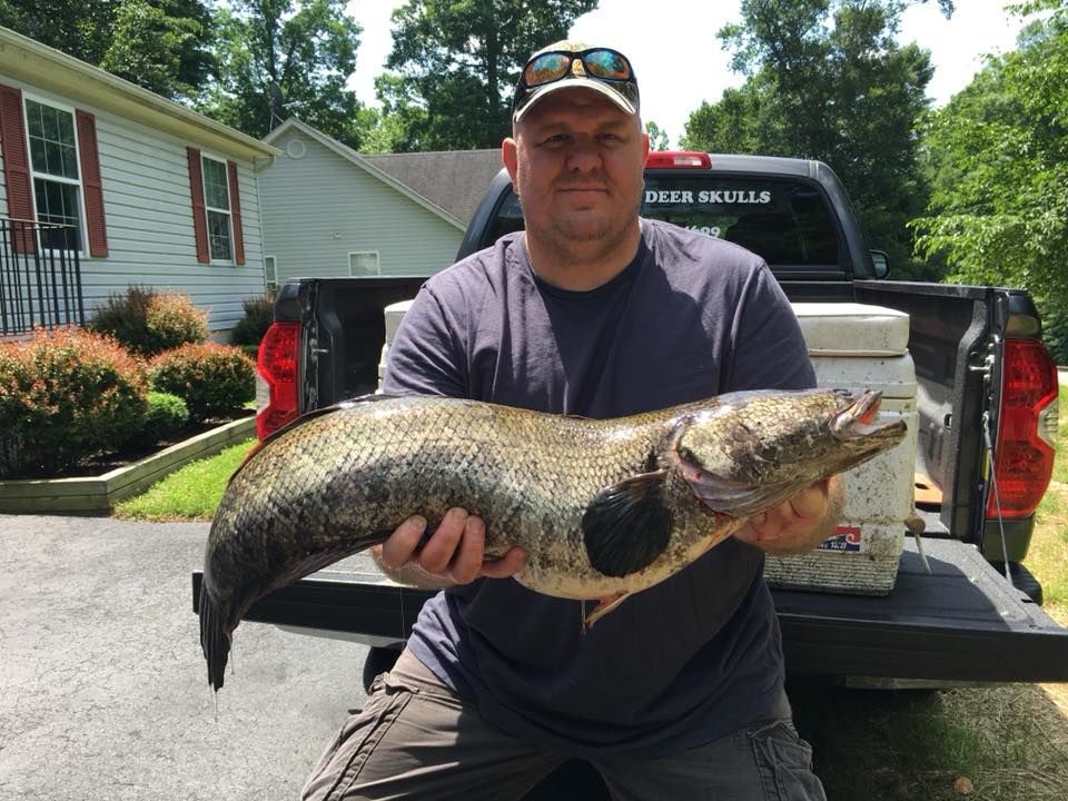 A press release from the Maryland Department of Natural Resources called Andy Fox's record-breaking 19.9 pound snakehead catch "frankenfish." (Photo courtesy of the Maryland Department of Natural Resources)