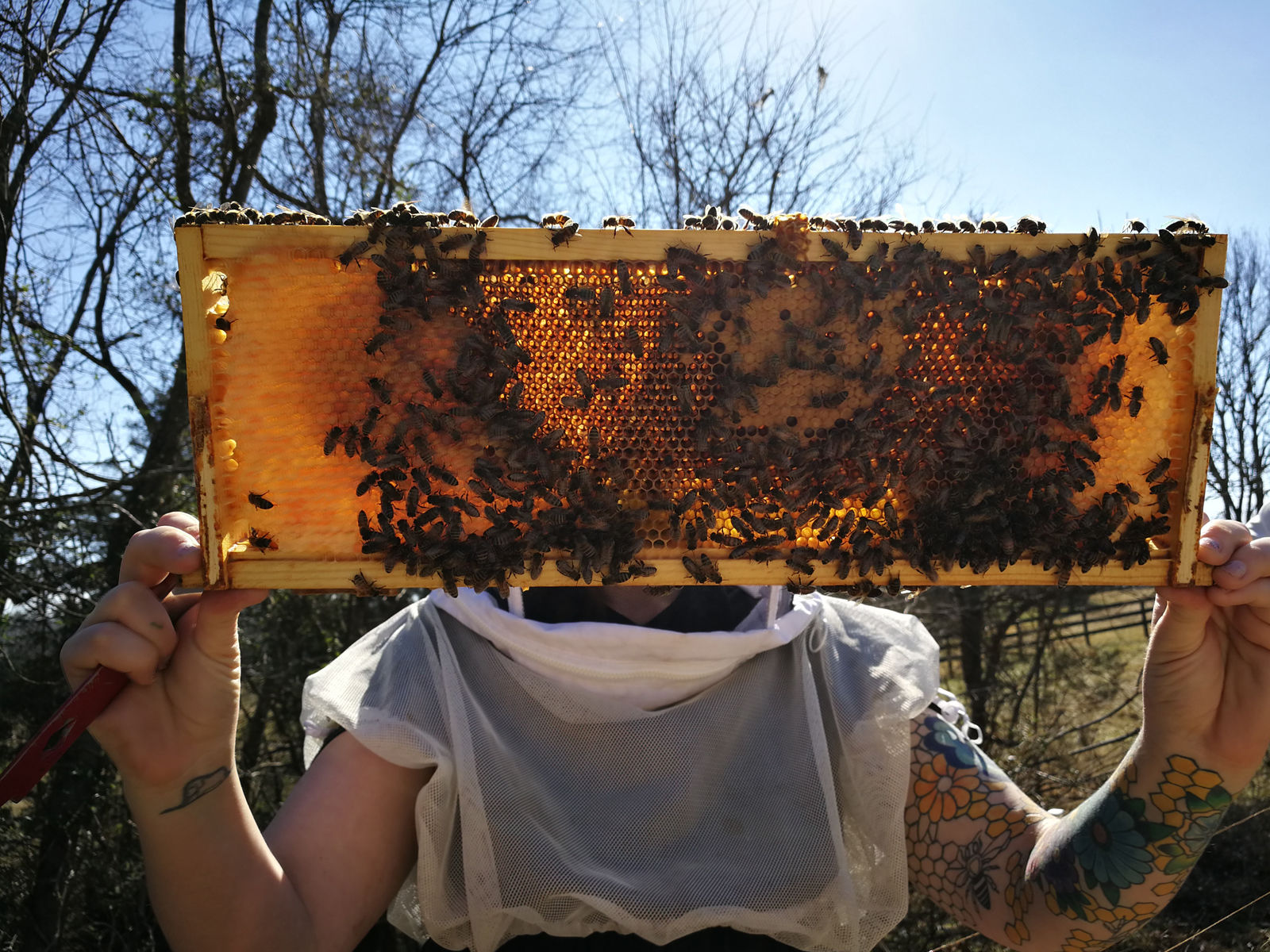 "Pollinators are being wiped out by the toxic pesticides applied to farms and lawns everywhere," said MOM's founder Scott Nash, who happens to be a beekeeper himself. "It's important to protect our pollinators and to bring awareness about how we can make a difference." (Courtesy Richland Honey Bees)