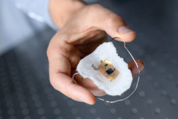 The material that holds the electronics is an ultrathin, flexible, stretchable, breathable membrane. The device uses Bluetooth to send data readings to a smart phone or tablet as far as 33 feet away. (Courtesy Rob Felt, Georgia Tech)