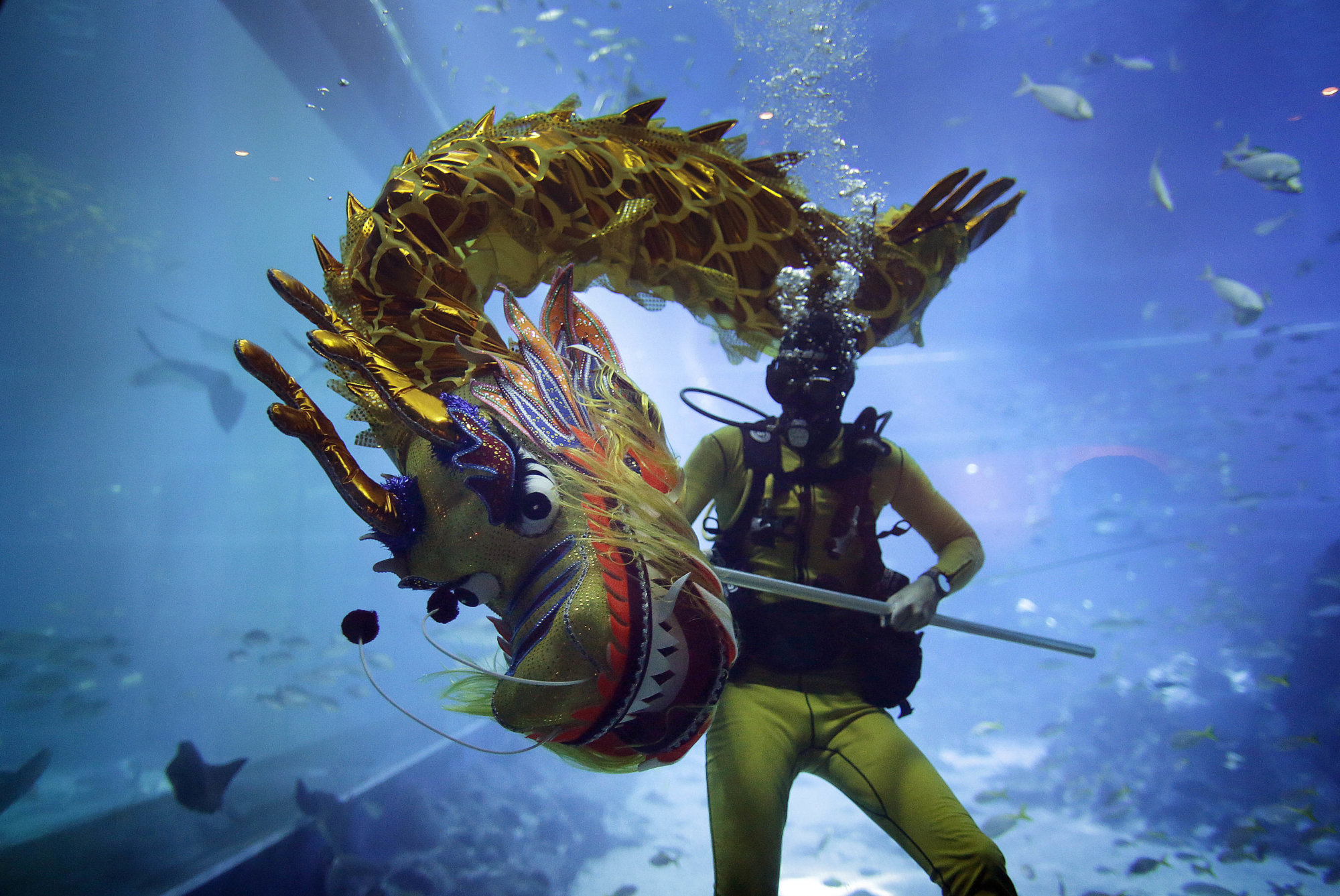 A diver performs a dragon dance underwater at the South East Asia Aquarium in Resorts World Sentosa, a popular tourist destination as part of Chinese New Year celebrations on Wednesday, Jan. 25, 2017 in Singapore. The tradition of dragon dance performances, usually on land, is believed to bring blessings to guests for an auspicious Lunar New Year. (AP Photo/Wong Maye-E)