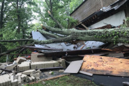 Fortunately, no one was hurt since no one was home when this tree fell a house in Pinoak Drive in Reston, Virginia. (WTOP/Neal Augenstein)
