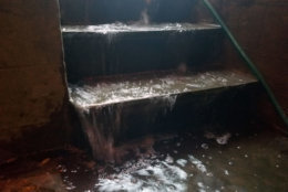 Water rushes into a Columbia Heights basement during the storm. (WTOP/Will Vitka)