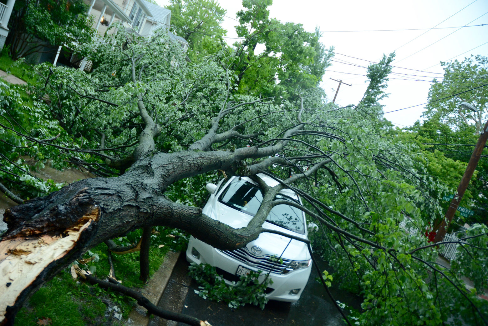 A tree fell on a car in Northwest D.C. at the intersection of Emery Place NW and 41st Street. (WTOP/Dave Dildine)