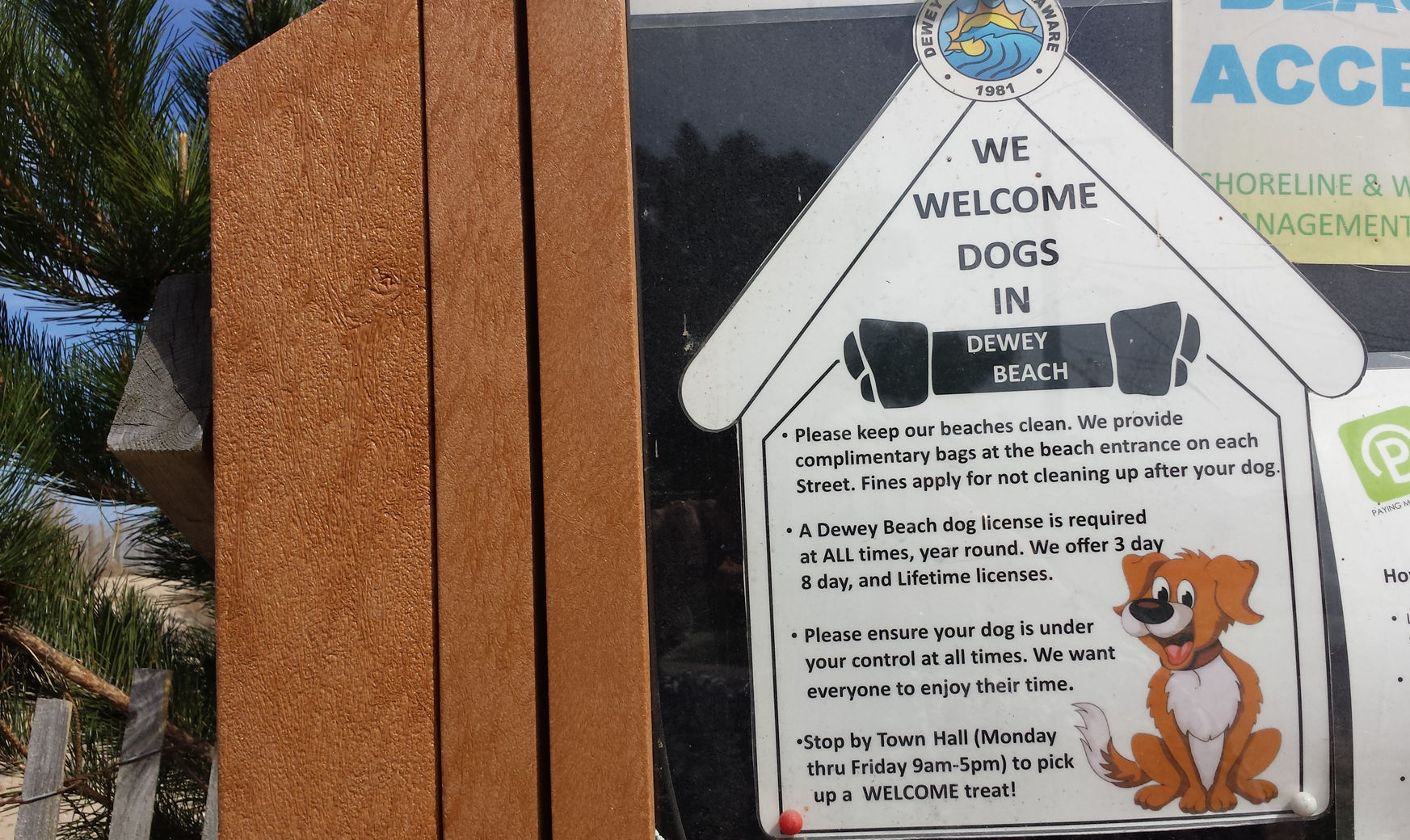 dewey beach sign allowing dogs on beac