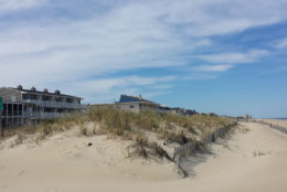 A dune protects oceanfront homes in Dewey Beach, Delaware
