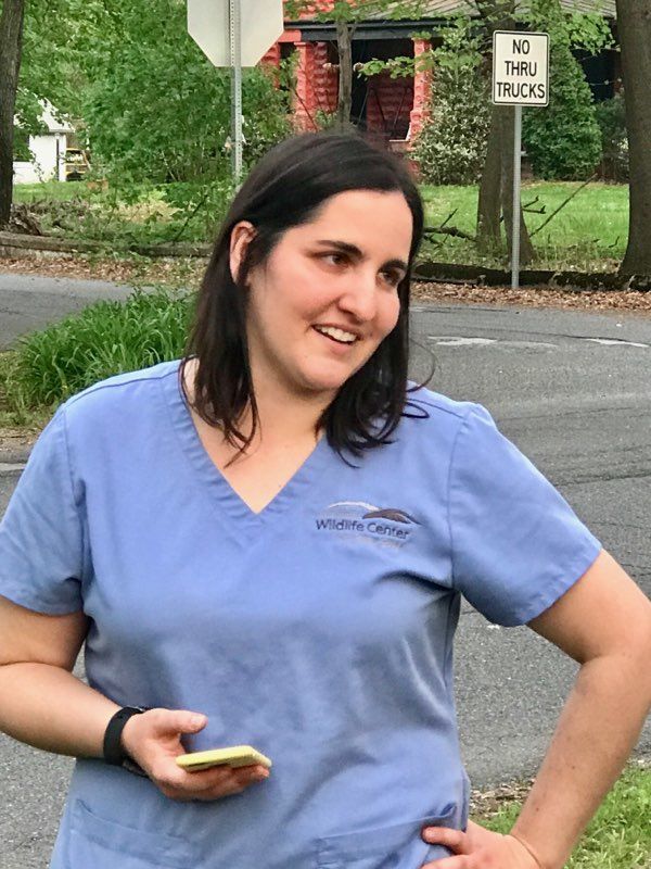 Veterinarian Jennifer Riley, with Blue Ridge Wildlife Center, told Paul Kakol the owl's best chances for survival would be if it could be renested. (Courtesy Paul Kakol)