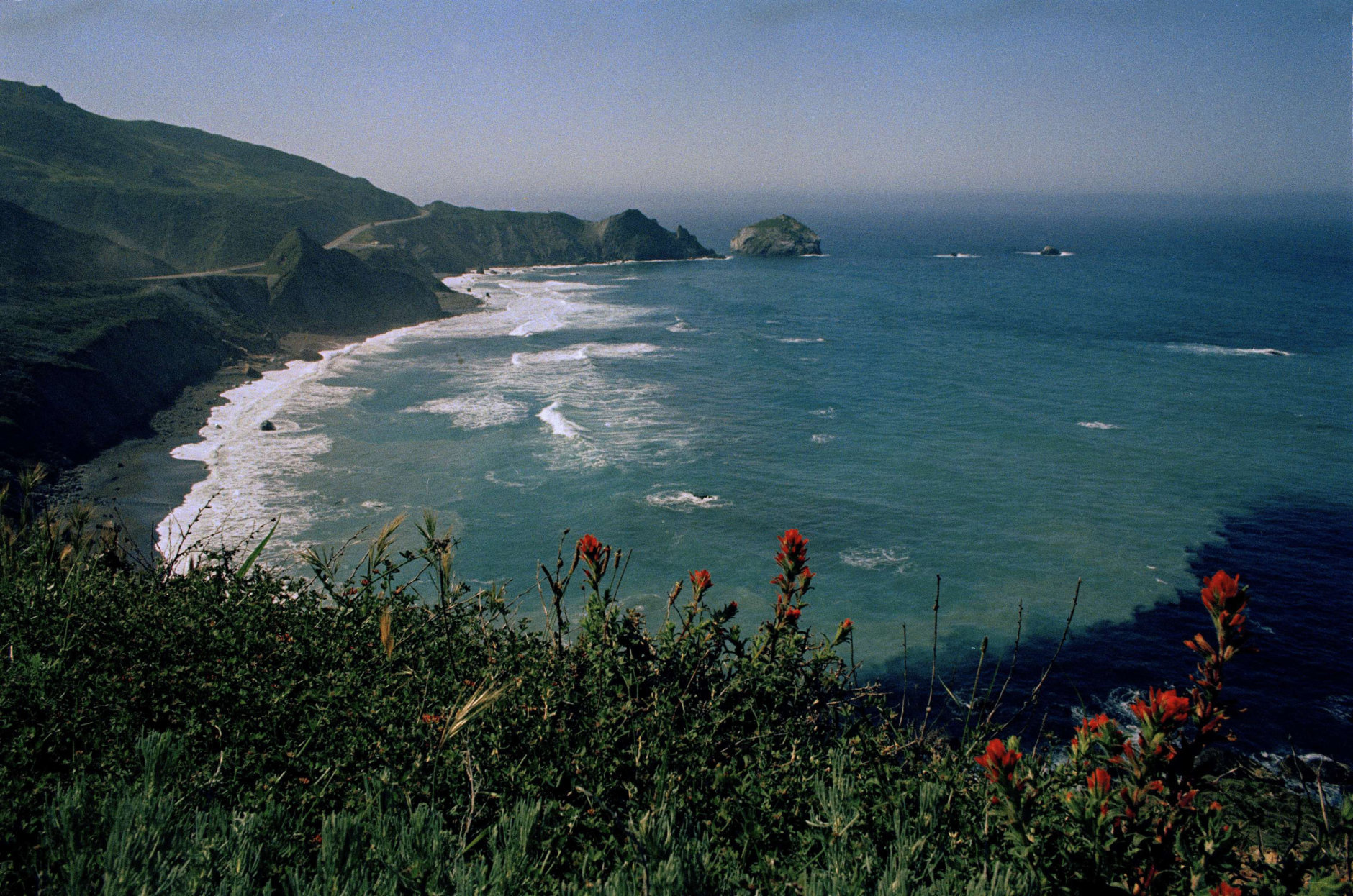 Wildflowers underscore the Pacific coast at Big Sur, Calif., is shown in this undated photo. (AP Photo)