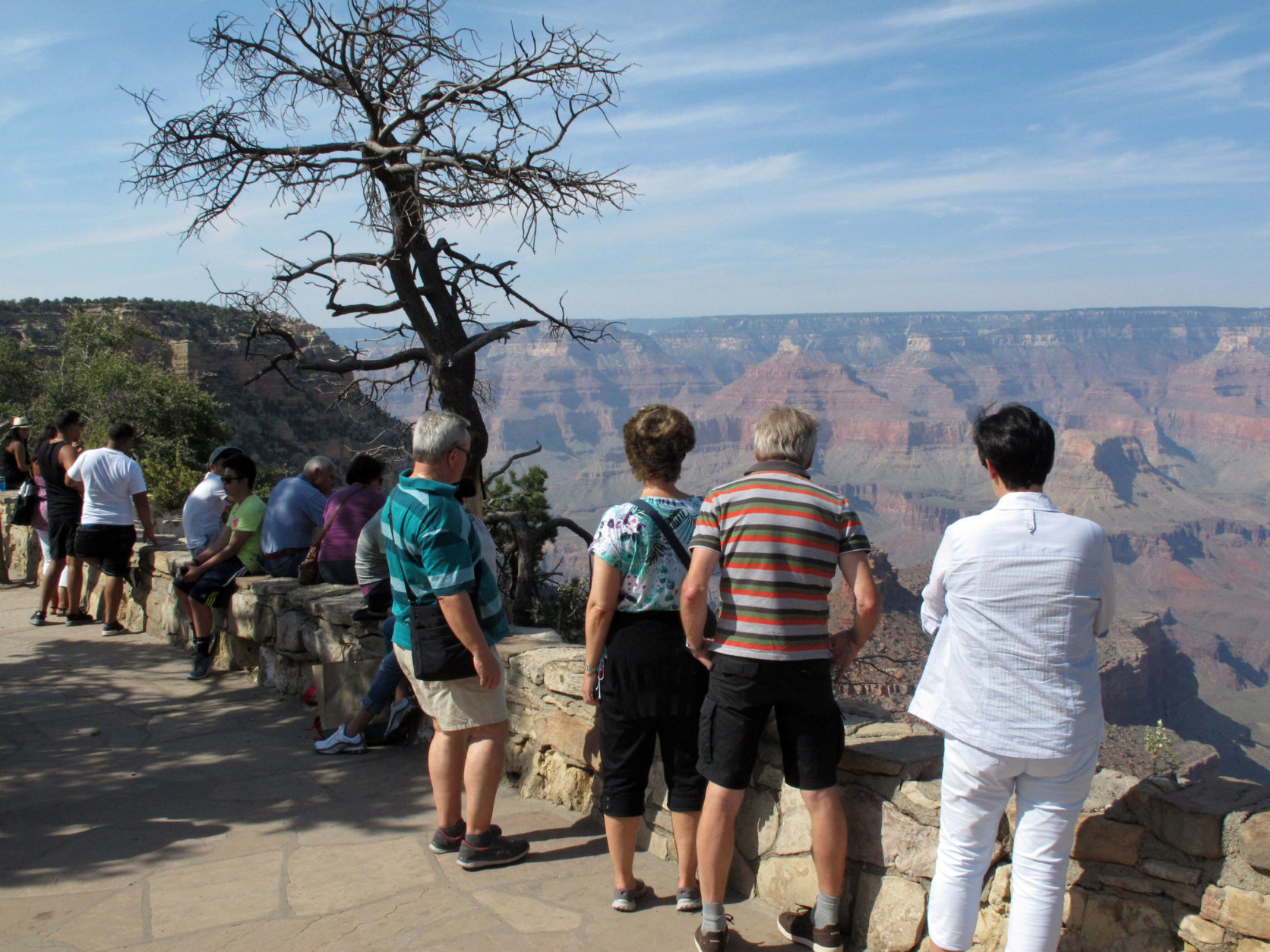 In this Wednesday, Aug. 19, 2015 photo, visitors line the South Rim of Grand Canyon National Park in northern Arizona. The Grand Canyon and other big national parks are seeing more visitors than usual this year, partly driven by good weather, cheap gas and marketing campaigns. (AP Photo/Felicia Fonseca)