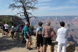 In this Wednesday, Aug. 19, 2015 photo, visitors line the South Rim of Grand Canyon National Park in northern Arizona. The Grand Canyon and other big national parks are seeing more visitors than usual this year, partly driven by good weather, cheap gas and marketing campaigns. (AP Photo/Felicia Fonseca)