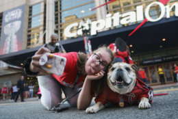 A Washington Capitals fan poses for a photo with Ovie the Bulldog outside Capitol One Arena before Game 4 of the NHL hockey Stanley Cup Final between the Capitals and the Vegas Golden Knights, Monday, June 4, 2018, in Washington. (AP Photo/Carolyn Kaster)