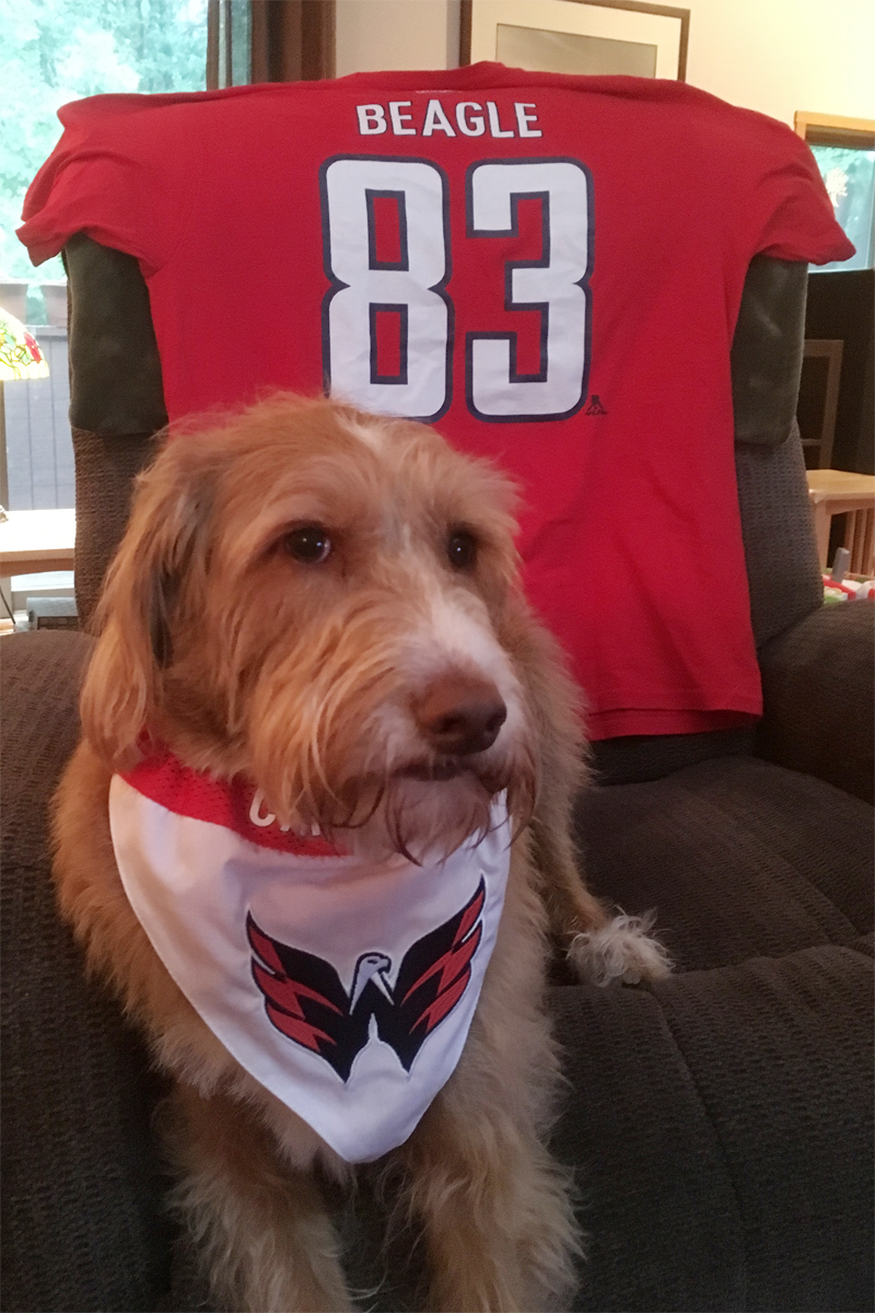Beagle fans come in all shapes and sizes! (Courtesy Dennis Kan)
