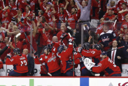 Fans and Washington Capitals players celebrate a goal by Capitals forward Devante Smith-Pelly during the third period in Game 3 of the NHL hockey Stanley Cup Final against the Vegas Golden Knights, Saturday, June 2, 2018, in Washington. (AP Photo/Alex Brandon)