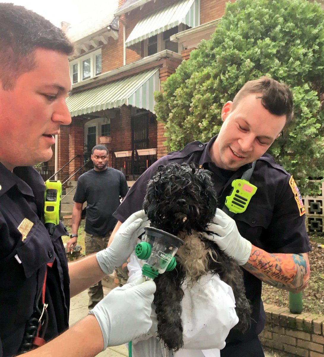 D.C. firefighters holding the dog they revived using an animal oxygen mask after a morning house fire in Northeast. (Courtesy DC Fire and EMS)