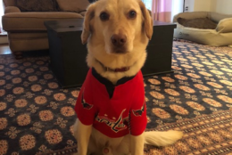 Oliver is rocking the red for Game 5! (Courtesy Fernando Curtis)