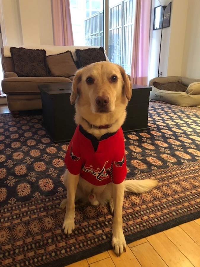 Oliver is rocking the red for Game 5! (Courtesy Fernando Curtis)