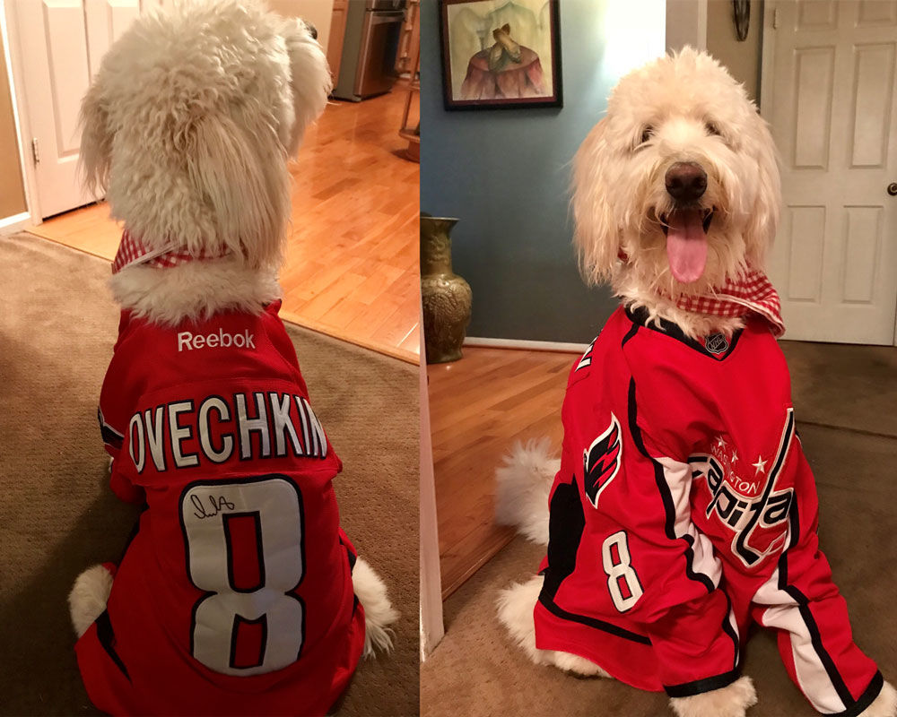 
Looks like Howie is stoked to be in Caps gear! (Courtesy Alishia Akhtar) 