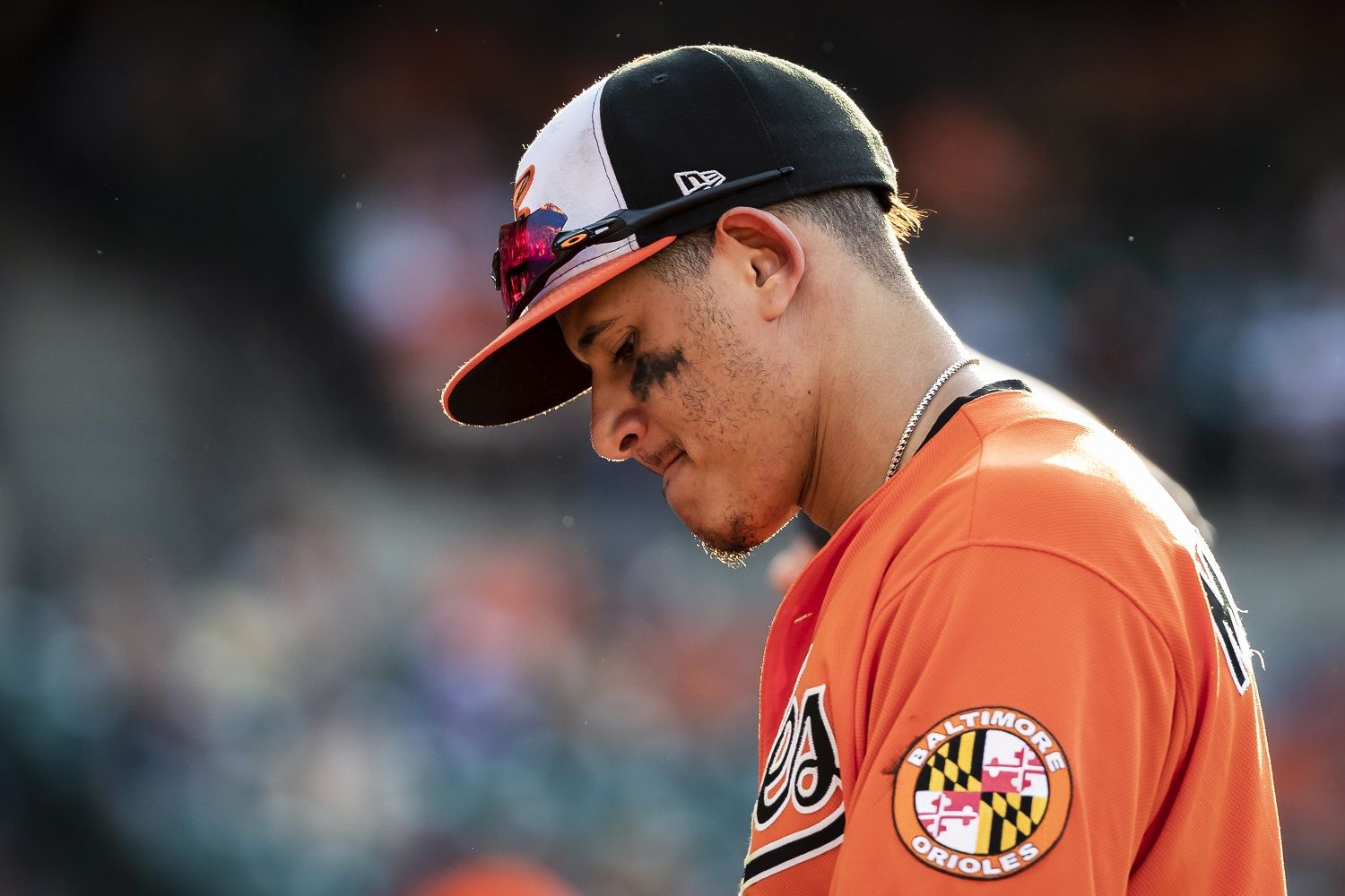 Baltimore Orioles Return to DC for Beltway Series