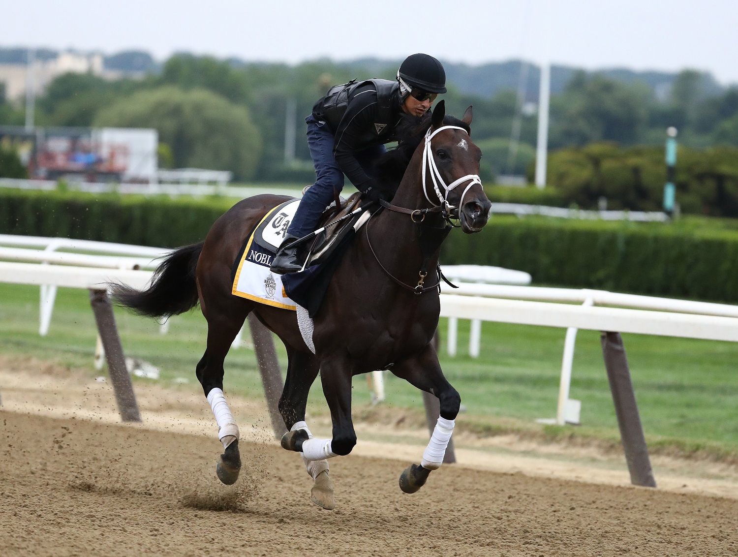 ELMONT, NY - JUNE 07:  Belmont Stakes contender Noble Indy trains prior to the 150th running of the Belmont Stakes at Belmont Park on June 7, 2018 in Elmont, New York.  (Photo by Al Bello/Getty Images)