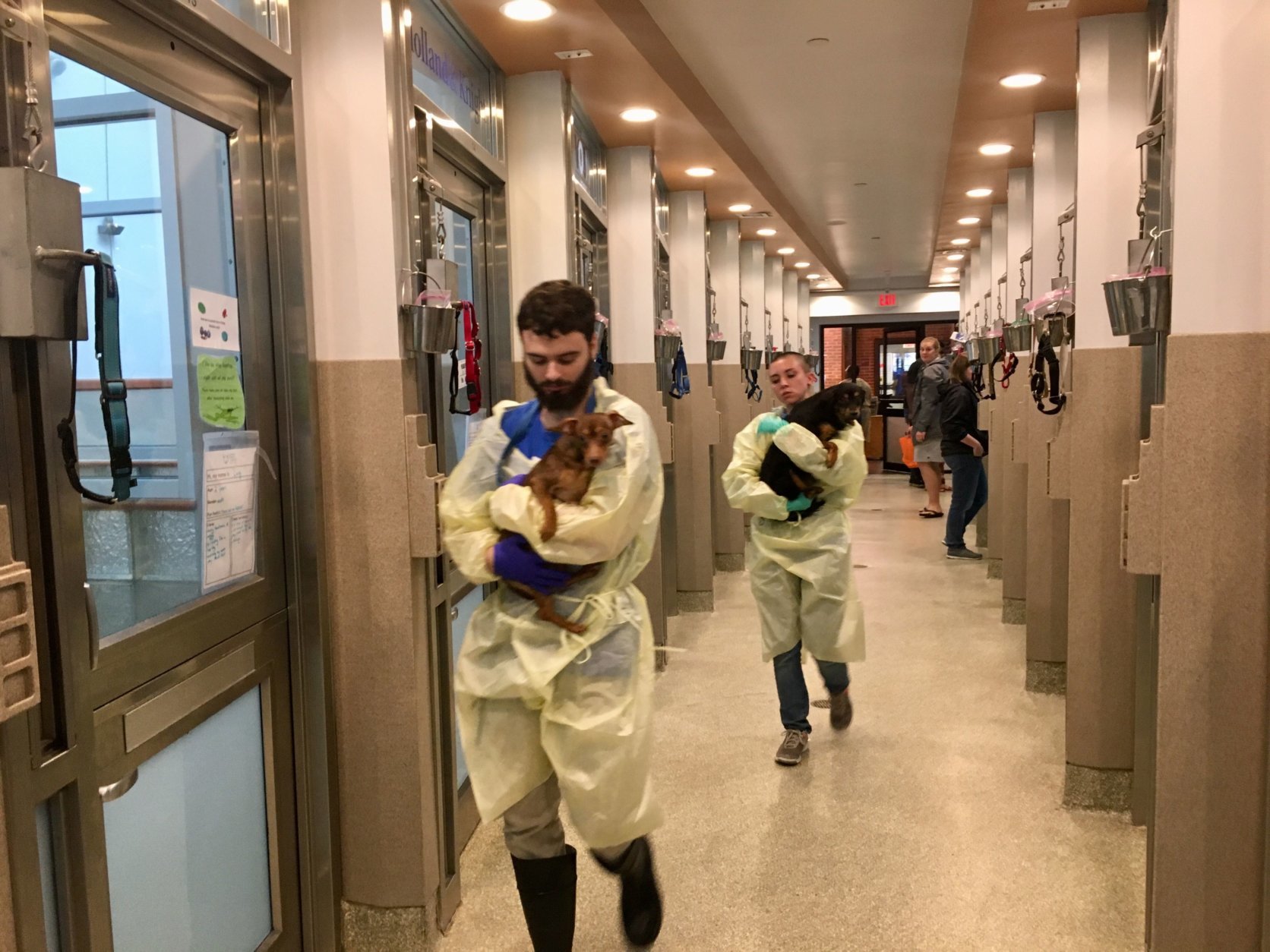 Members of the Humane Rescue Alliance caring for dogs rescued from a hoarding situation in West Virginia. (Courtesy of Humane Rescue Alliance)