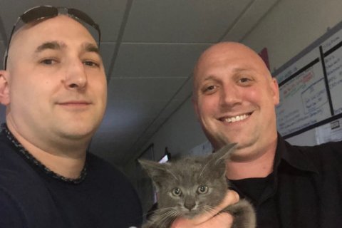 Prince George’s Co. firefighters rescue kitten that hitched a ride on a car