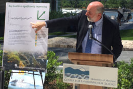 "Overall, the bay for the first time is going in the right direction," said Bill Dennison, vice president of science application at the University of Maryland Center for Environmental Science. "We've turned a corner. We're making improvements." (WTOP/Kristi King)