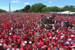 The National Mall saw a burst of red with Caps fans gathered for Tuesday's rally. (Screenshot via NBC Washington livestream)