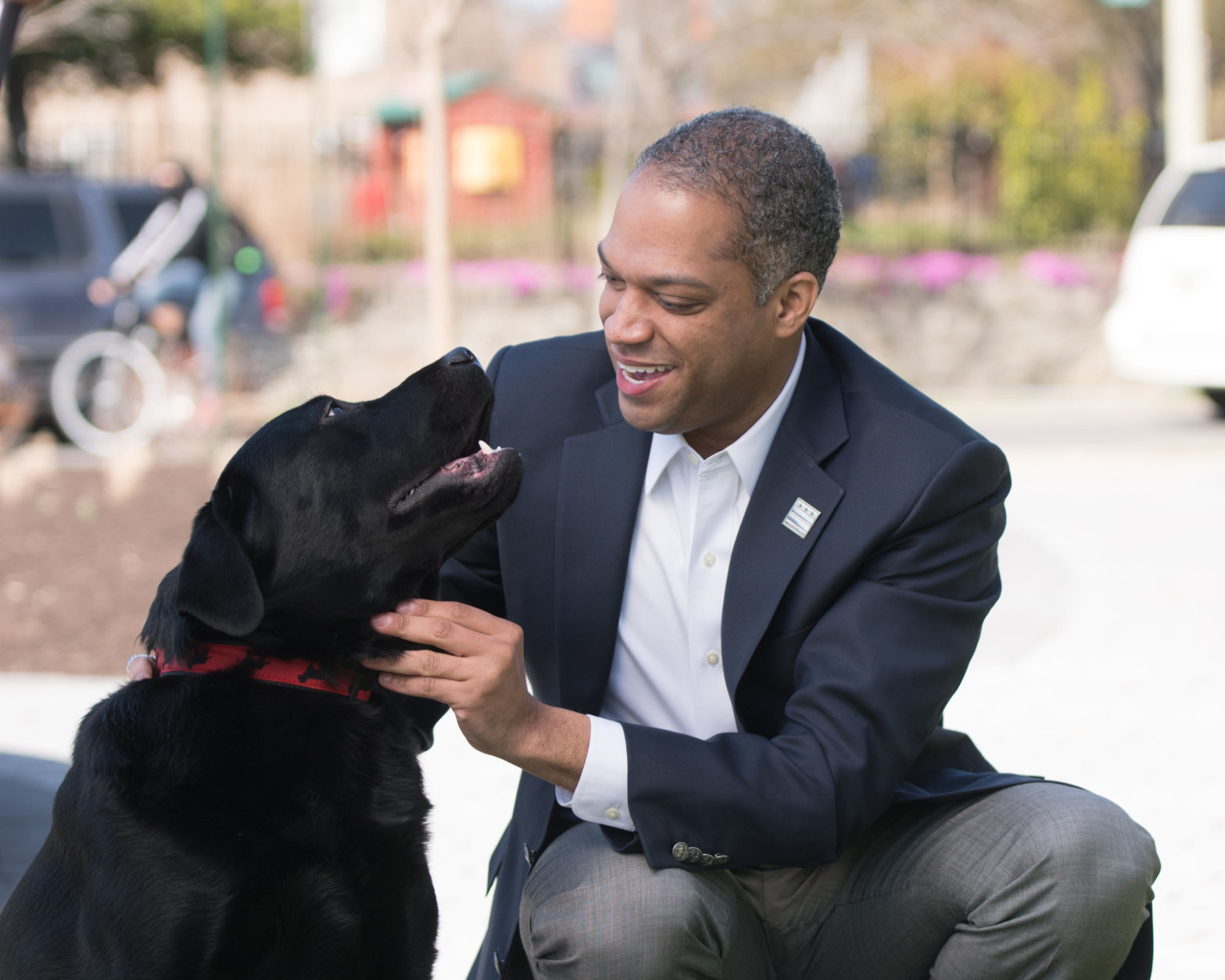 Photos Meet The Dogs And Cats Of The Dc Council Wtop