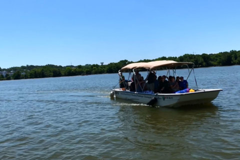 Boat trips designed to help Washingtonians ‘fall in love’ with the Anacostia River