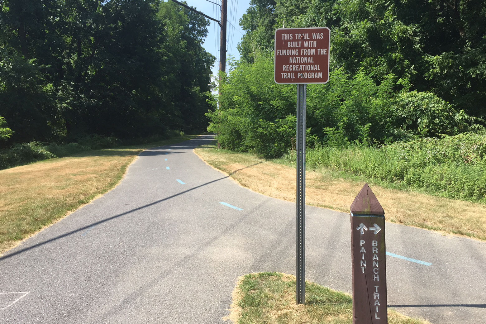 A University of Maryland student jogging along the Paint Branch Trail July 10 said a stranger approached her and then ran into the woods. (WTOP/John Domen)