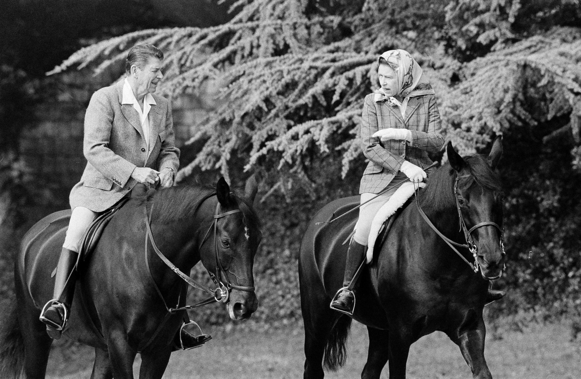 Queen Elizabeth II gestures as she chats with U.S. President Ronald Reagan during a ride through the grounds of Windsor Castle, June 8, 1982. President and Mrs. Reagan are currently on a three-day visit to Britain. (AP Photo/Bob Daugherty)