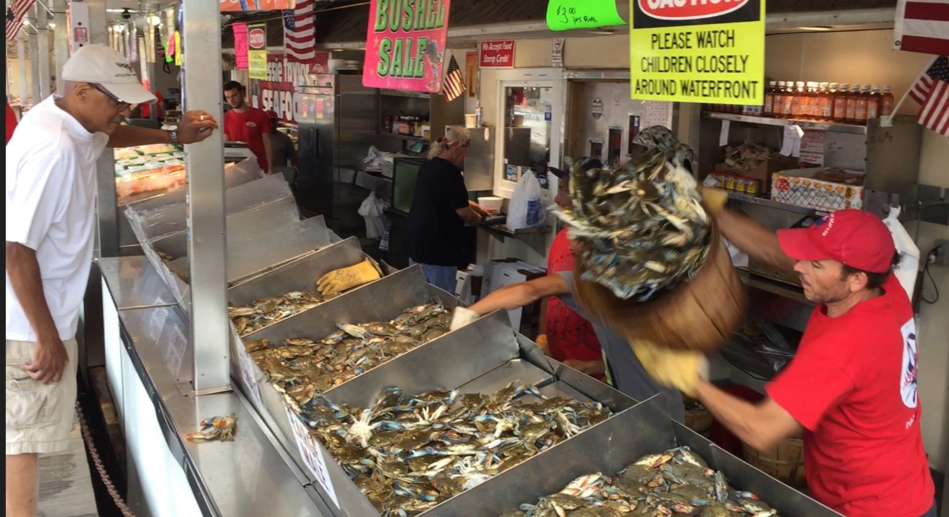 To supplement the number of crabs stocked from the Chesapeake Bay, Jessie Taylor's Seafood is getting them from the Carolinas and a far away as Louisiana and Florida. (WTOP/Kristi King)