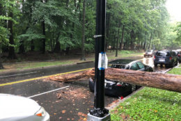 The lane going to American University on Massachusetts is blocked by D.C. police as a result of the downed tree. (WTOP/Dave Dildine)