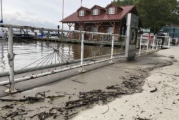 The remnants of a high tide in Alexandria, Virginia, along the pier. 