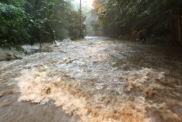 WTOP's Dave Dildine reports: "This is Broad Branch Road in Rock Creek Park. Dangerous situation. Flash Flood Warning." (WTOP/Dave Dildine) 