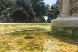 The National Park Service drained the Dupont Circle Fountain after someone dyed the water red. (WTOP/Kristi King)