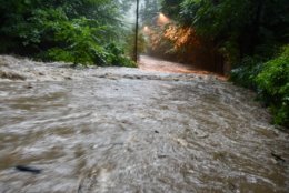 Here's what Broad Branch Road in Rock Creek Park looked like on Wednesday, July 25, 2018. (WTOP/Dave Dildine)