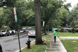 A dog and their human on their morning stroll in the rain in Northwest D.C. (WTOP/ Patrick Roth)
