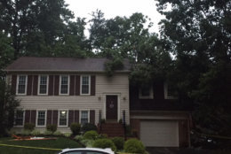 In Fairfax County, a woman was killed when this tree fell onto her home in Burke, Virginia. (WTOP/John Domen)