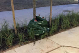 Laurie Ehrsam, who attended the D.C. United game at Audi Field on Saturday, July 28, tells WTOP that some people stashed their bags that were not allowed in the stadium in tree boxes. (Courtesy Laurie Ehrsam)