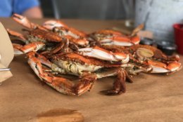 Maryland crabs are in season April through October. (WTOP/Ginger Whitaker)