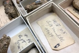 Left behind in some of the fossil records are the notes of Remington Kellogg, former curator at the Smithsonian and one of Nick Pyenson's predecessors. (WTOP/Megan Cloherty)