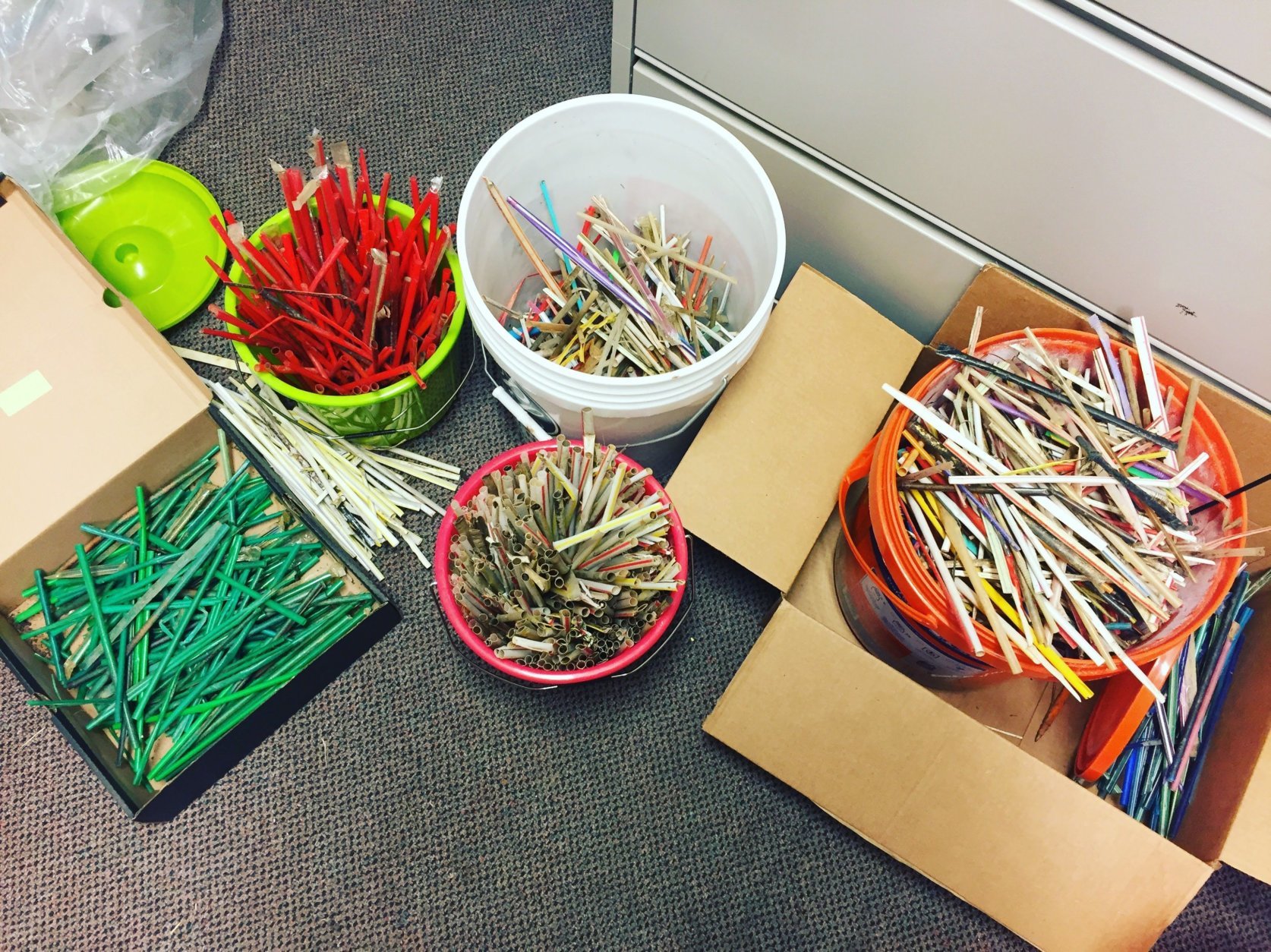 These 4,026 straws were collected at 30 sites in the Anacostia Watershed on Earth Day, April 21, 2018. (Courtesy Anacostia Watershed Society)