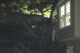 The Fairfax County Fire and Rescue Department arrived at the home in the 5900 block of Burnside Landing Drive around 8:45 p.m. and found a large tree had fallen through. (Courtesy Fairfax County Fire and Rescue Department)