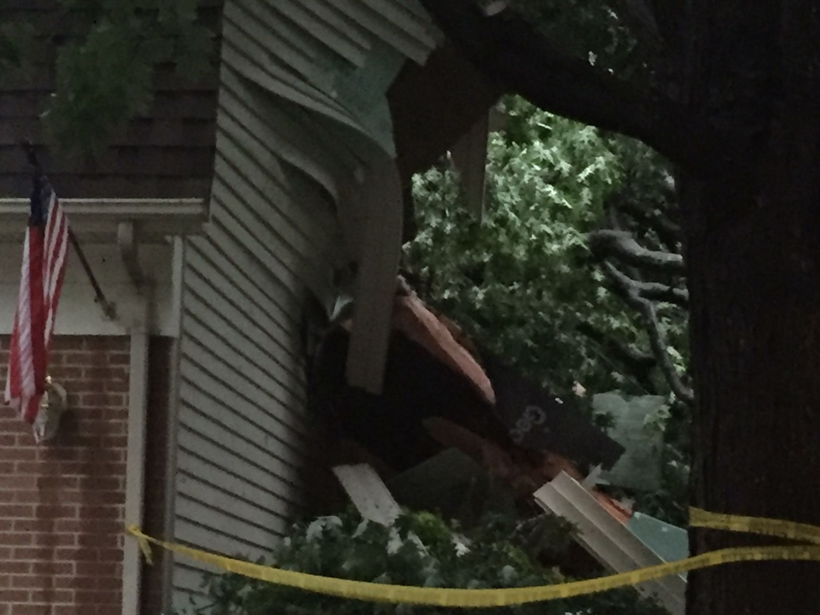 Here is a close-up of what the tree into the Burke home looks like. (WTOP/John Domen)