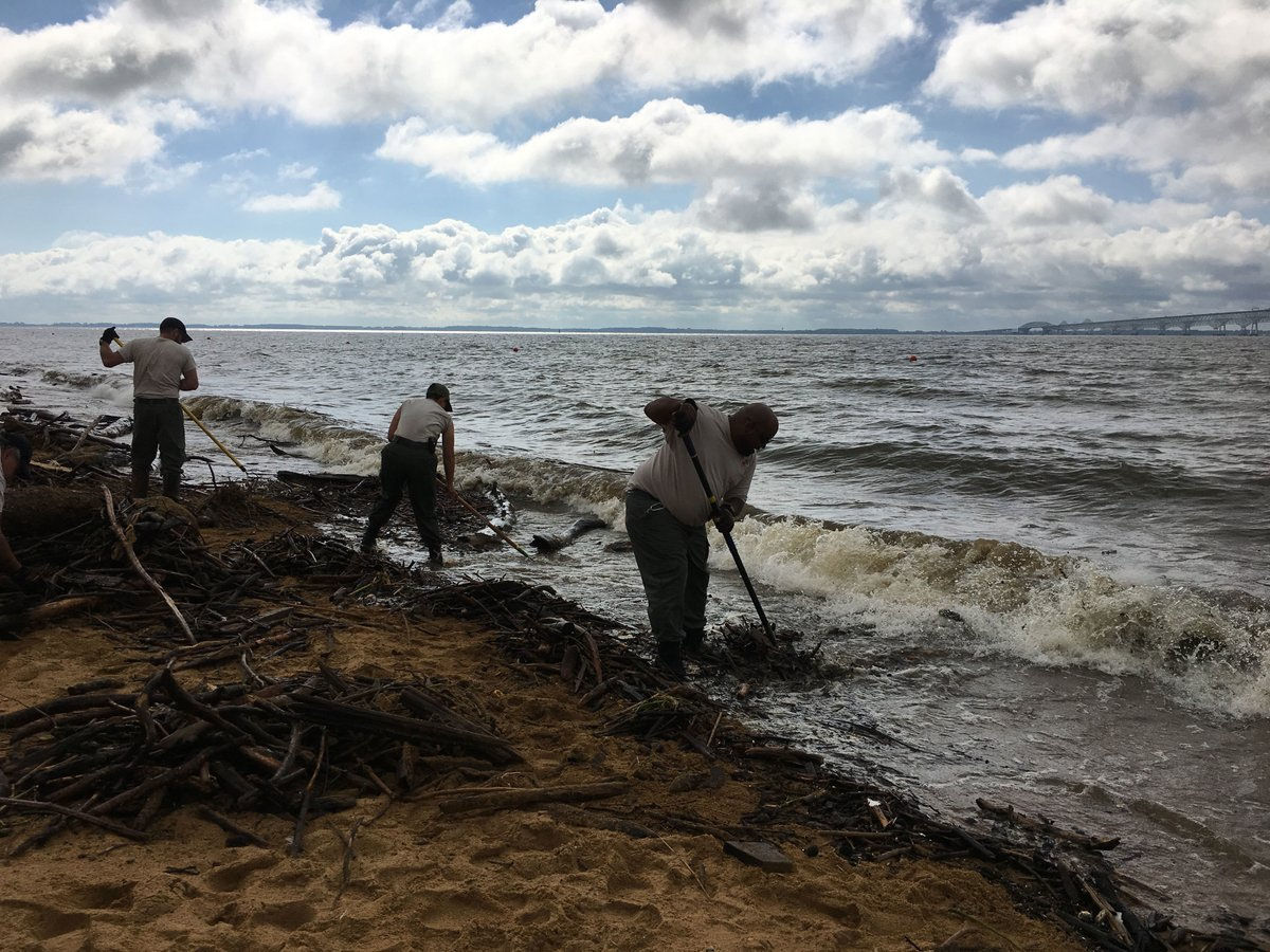 Maryland Department of Natural Resources crews remove storm debirs from the beach at Sandy Point State Park. (Courtesy Maryland DNR)